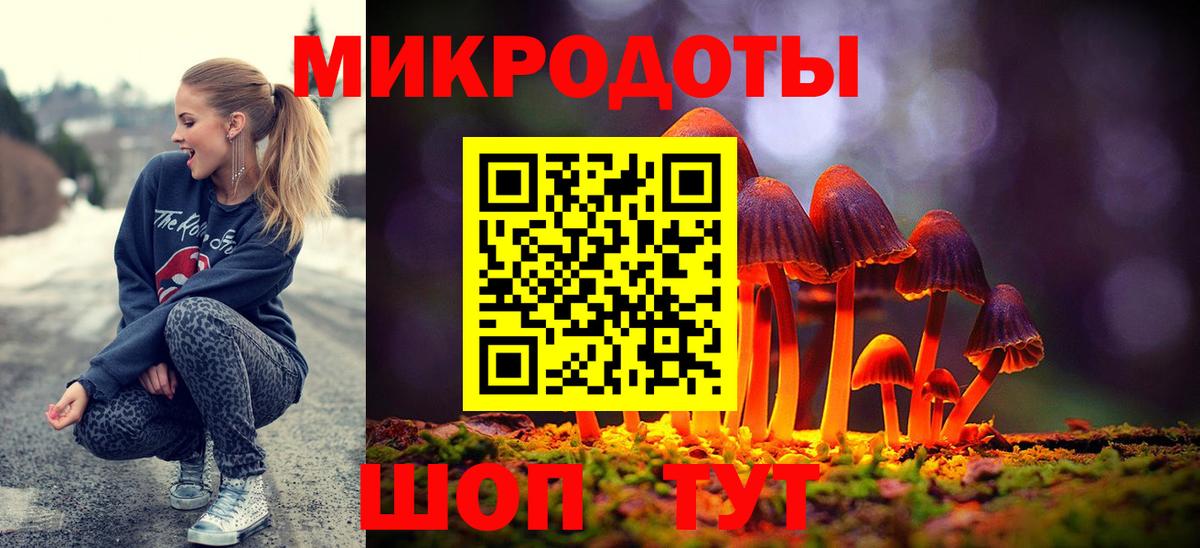 Шатура  Псилоцибиновые грибы MAGIC MUSHROOMS  Галлюциногенные грибы Psilocybe  Вход с VPN 